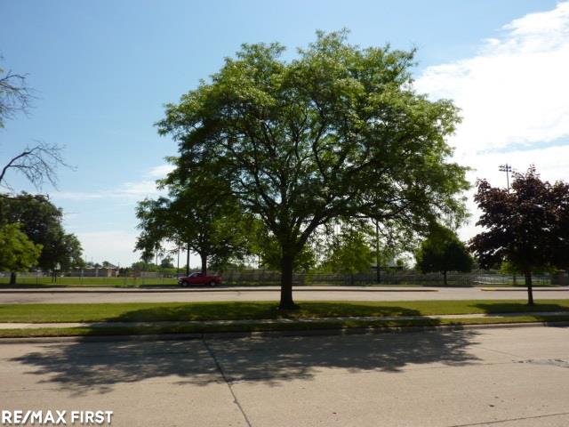 24917 Flower Eastpointe, MI 48021 - Photo 44 of 46 31298274-43.JPG