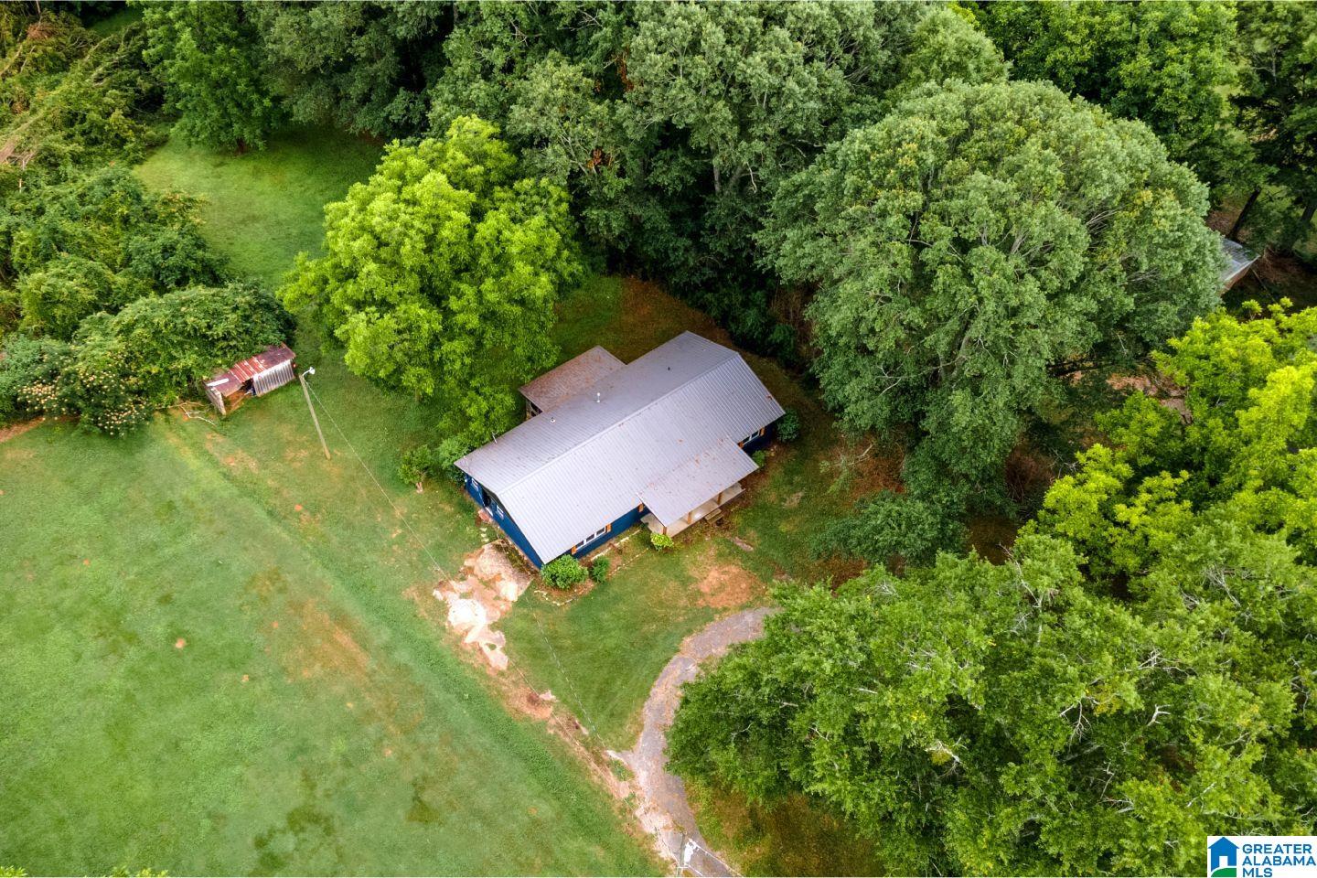 59524 Highway 49 Lineville, AL 36266 - Photo 5 of 29