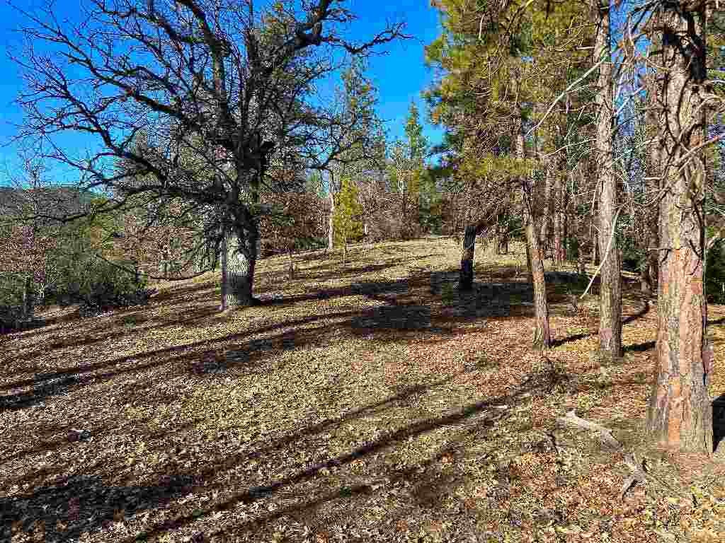 Meamber Creek Road Fort Jones, CA 96032 - Photo 11 of 14 Gallery Image 11