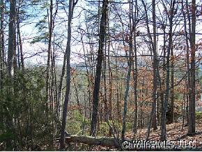 Lot 18 Morgan Ln Mill Spring, Unit 18 Mill Spring, NC 28756 - Photo 2 of 6 Gallery Image 2