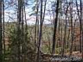 Lot 18 Morgan Ln Mill Spring, Unit 18 Mill Spring, NC 28756 - Photo 3 of 6 Gallery Image 3