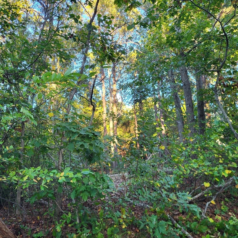 10 Tecumseh Road Bourne, MA 02562 - Photo 6 of 10 Gallery Image 6