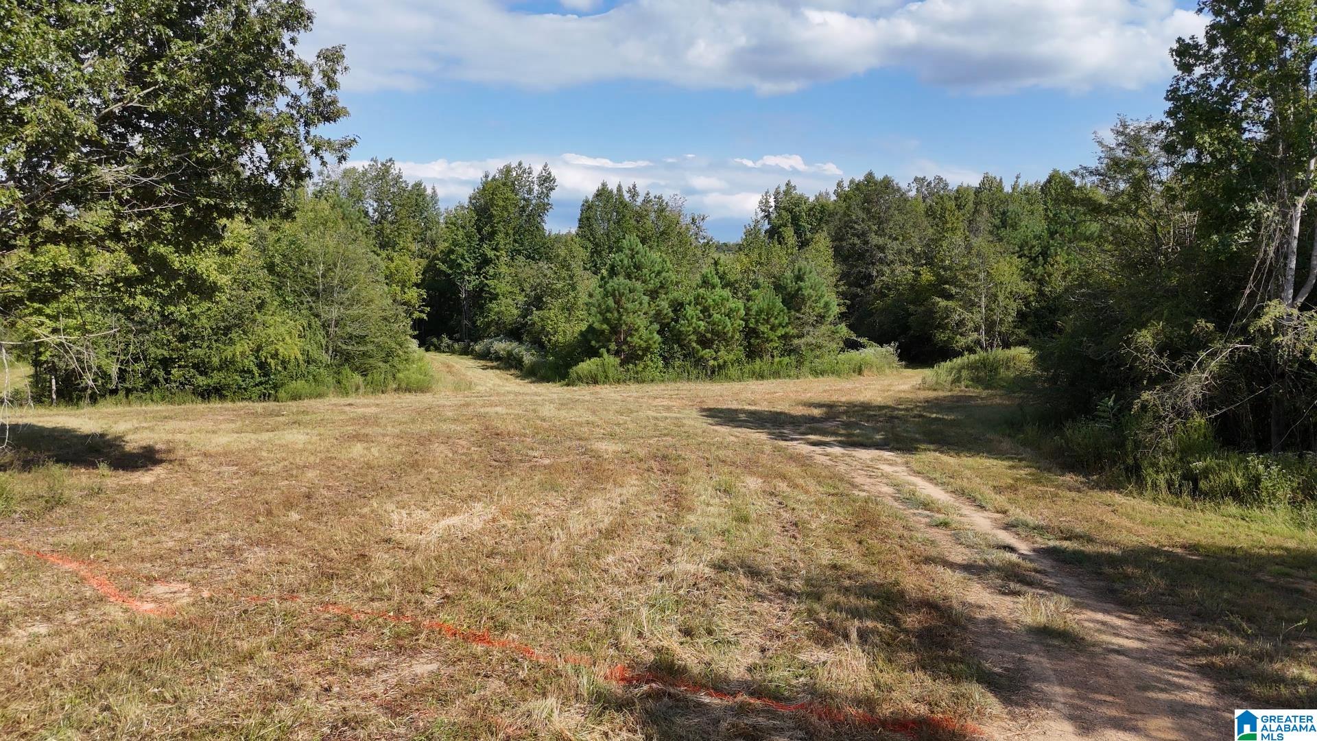 21 Wester Road, Unit LOT 21 Ragland, AL 35131 - Photo 7 of 54