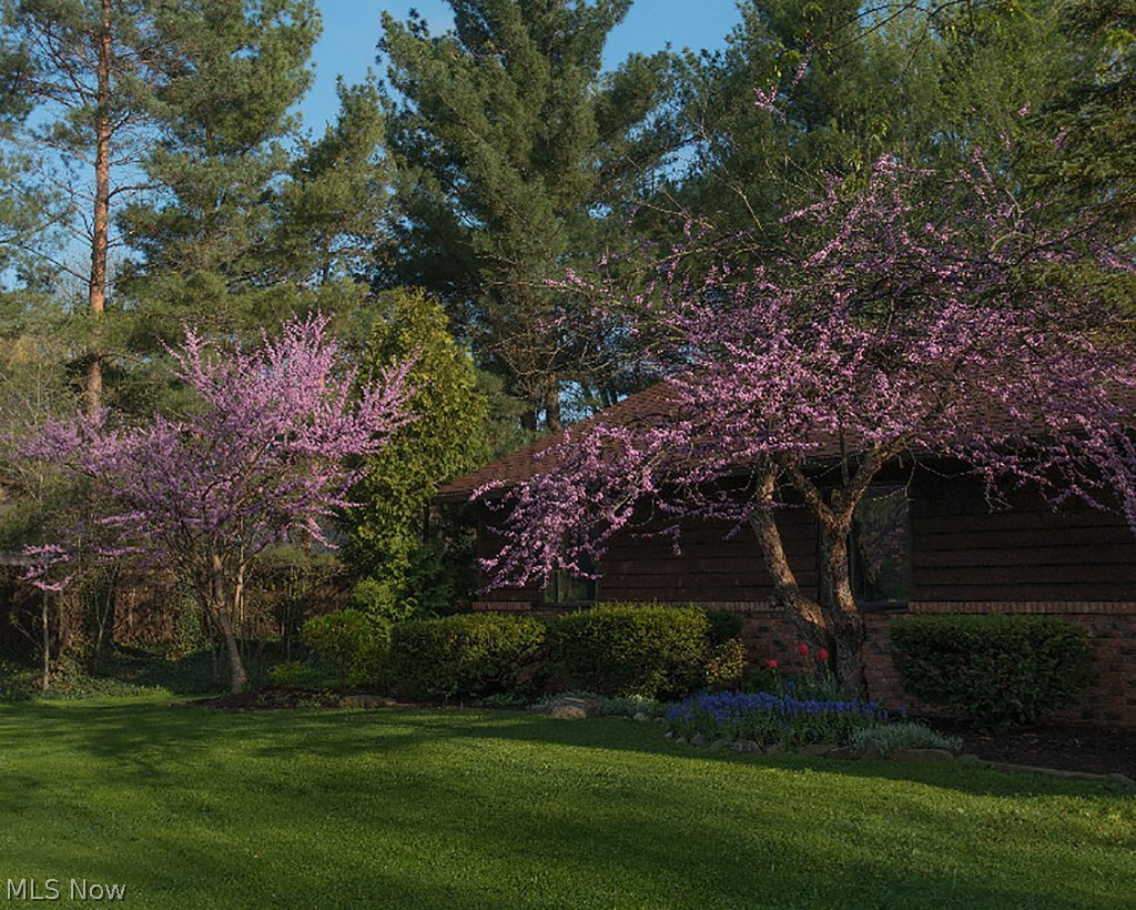 7577 Stone Road Medina, OH 44256 - Photo 29 of 35 Gallery Image 29