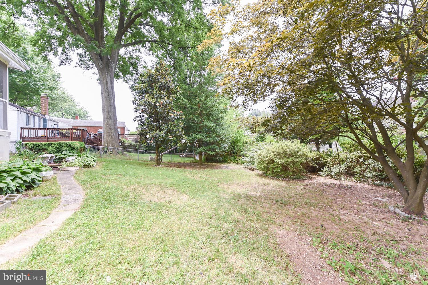 12816 Matey Road Silver Spring, MD 20906 - Photo 26 of 30 a view of a yard with plants and trees