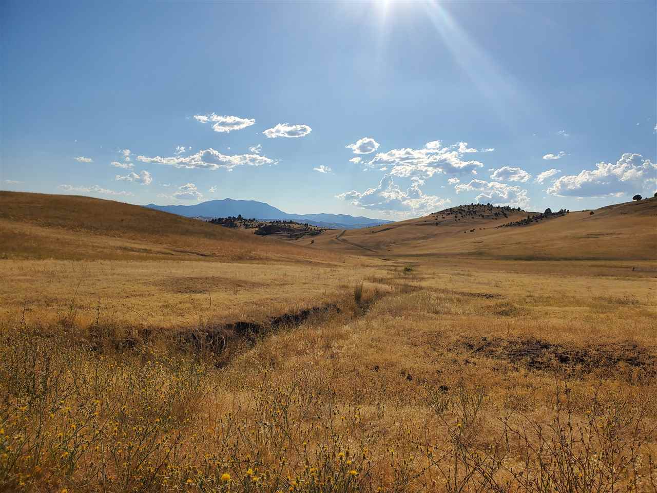 81 Iron Gate Road Hornbrook, CA 96044 - Photo 8 of 19 Gallery Image 8