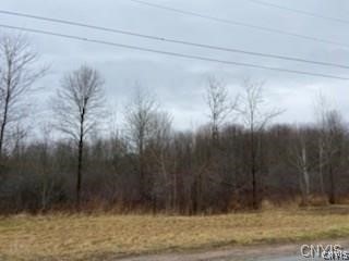 Lot 13 Hinman Road Pulaski, NY 13142 - Photo 1 of 1