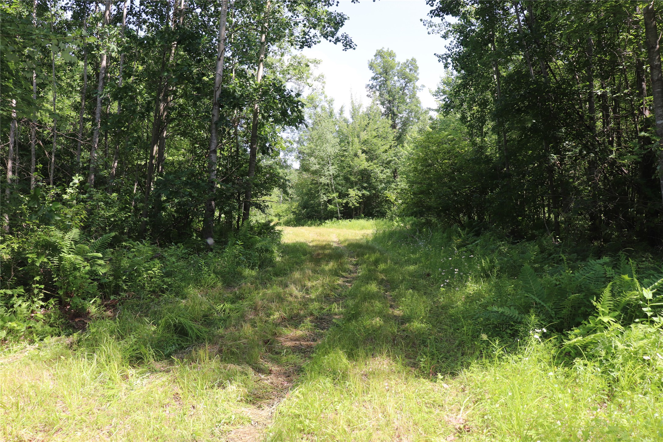 S11305 Kempton Road Augusta, WI 54722 - Photo 46 of 57