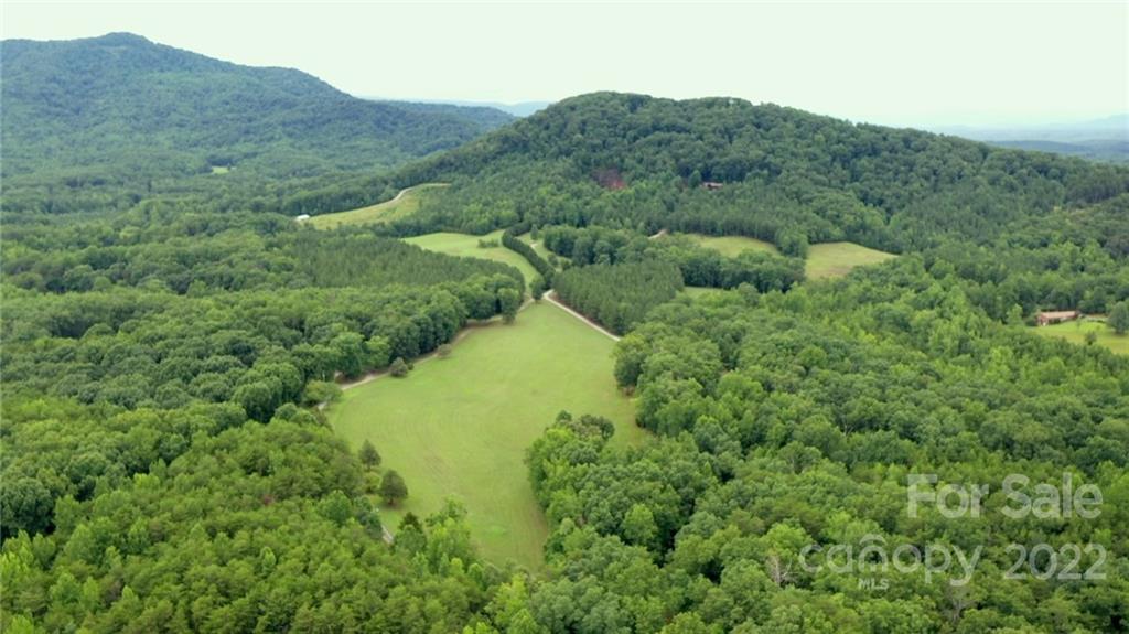 a view of a lush green forest with trees in the background