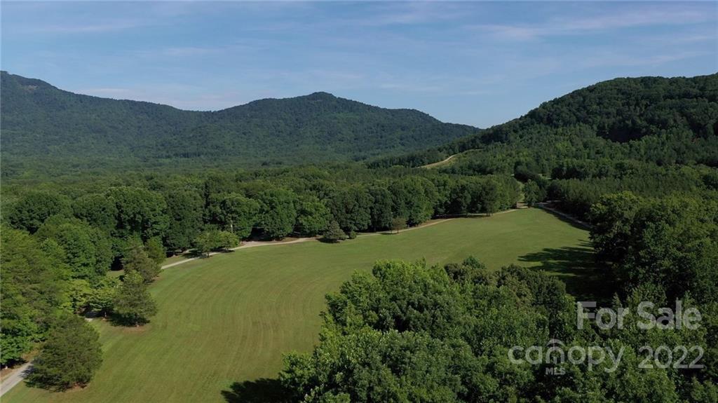428 Smith Road Columbus, NC 28722 - Photo 2 of 48 a view of a lush green hillside and a mountain view
