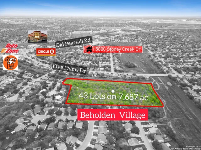 a small garden covered with tall trees