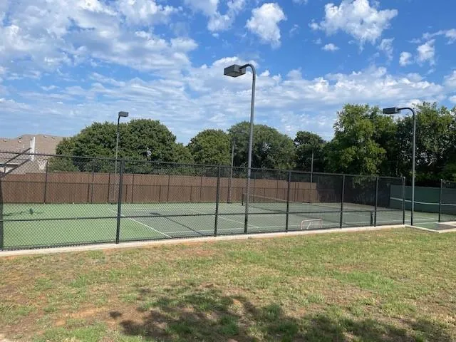 a view of a backyard