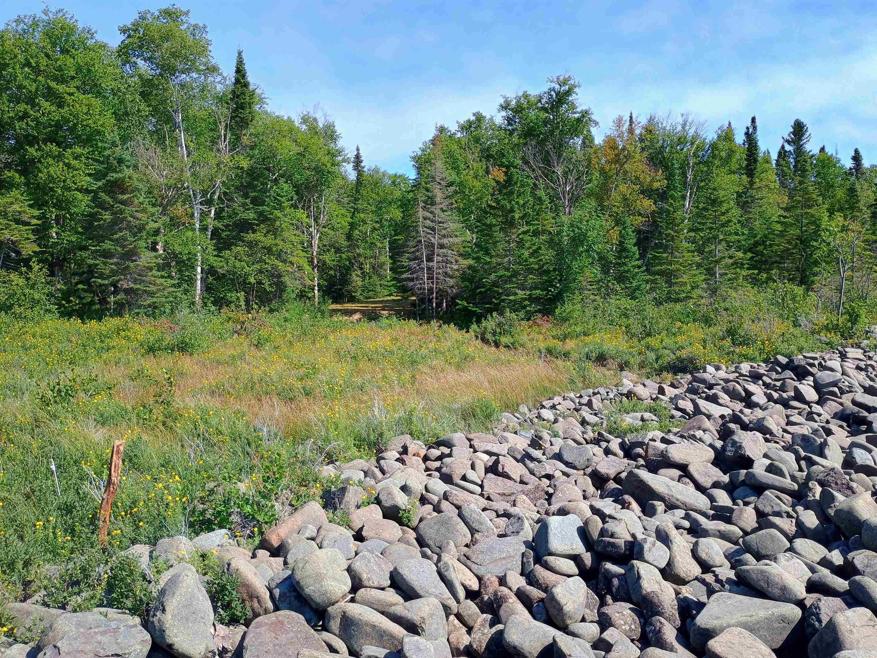 188 Stonegate Road Hovland, MN 55606 - Photo 16 of 33 Lake Superior boulder beach