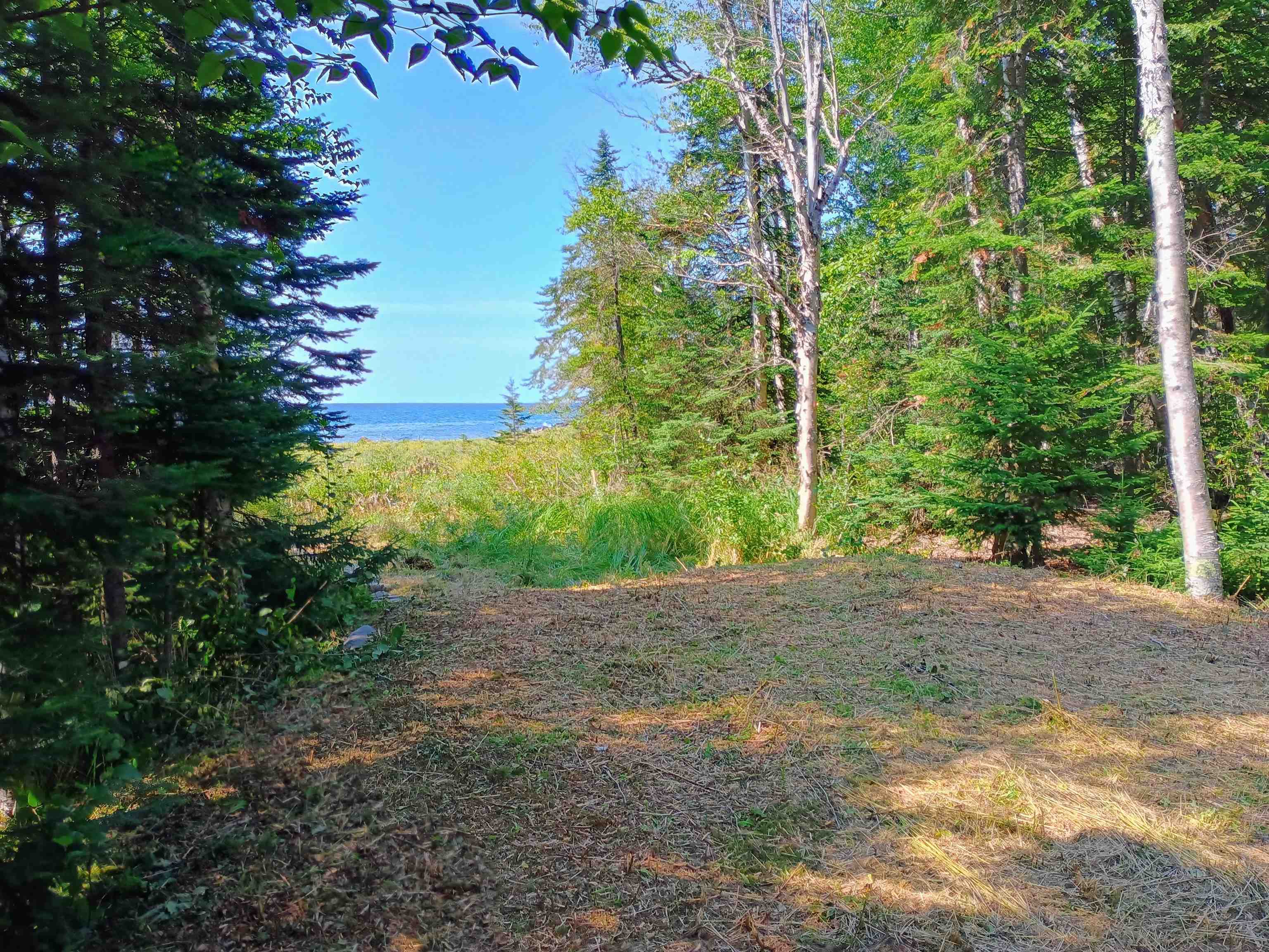 188 Stonegate Road Hovland, MN 55606 - Photo 17 of 33 View of cleared potential building site with a Lake Superior water view