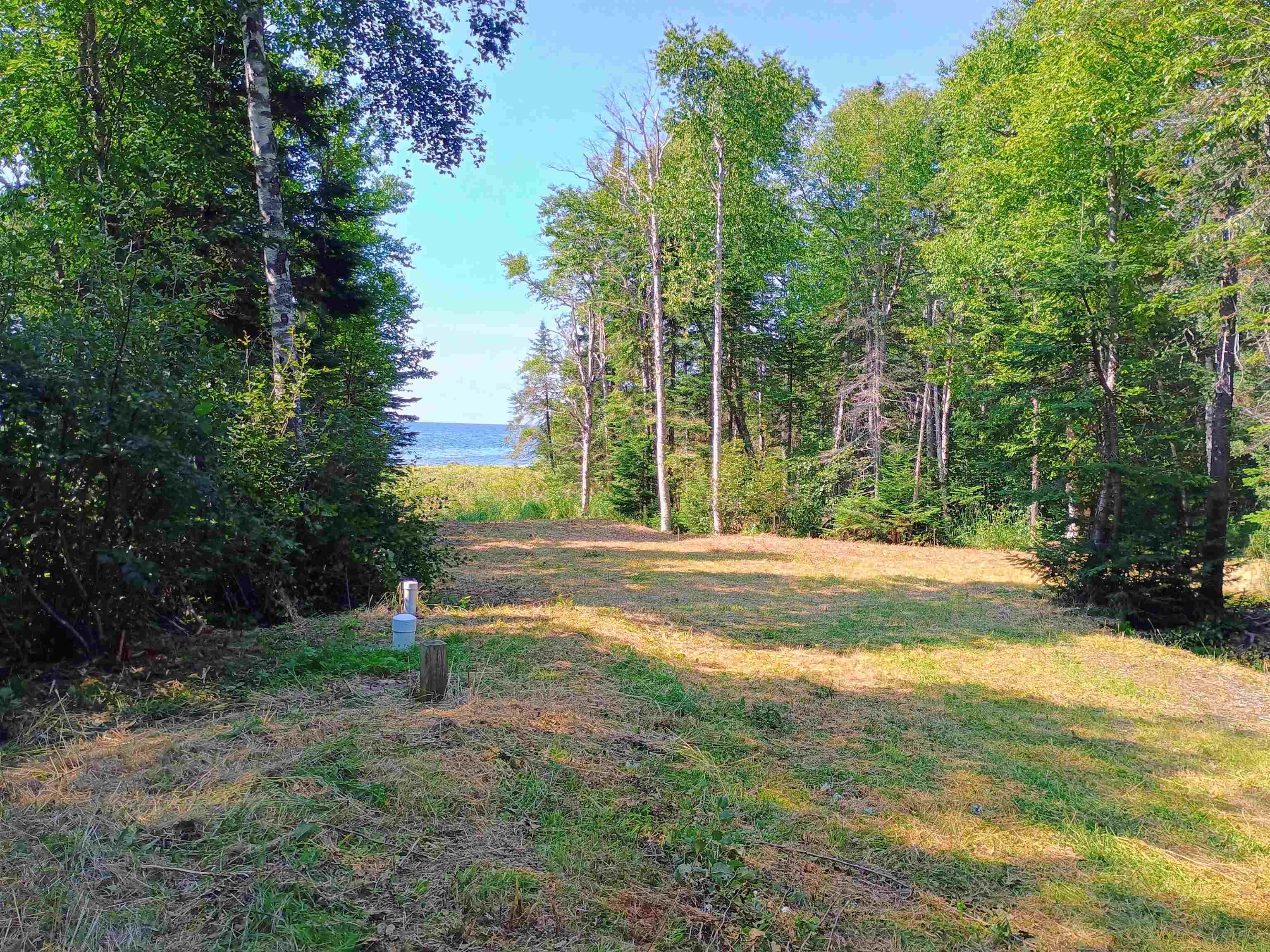 188 Stonegate Road Hovland, MN 55606 - Photo 18 of 33 Cleared potential build site