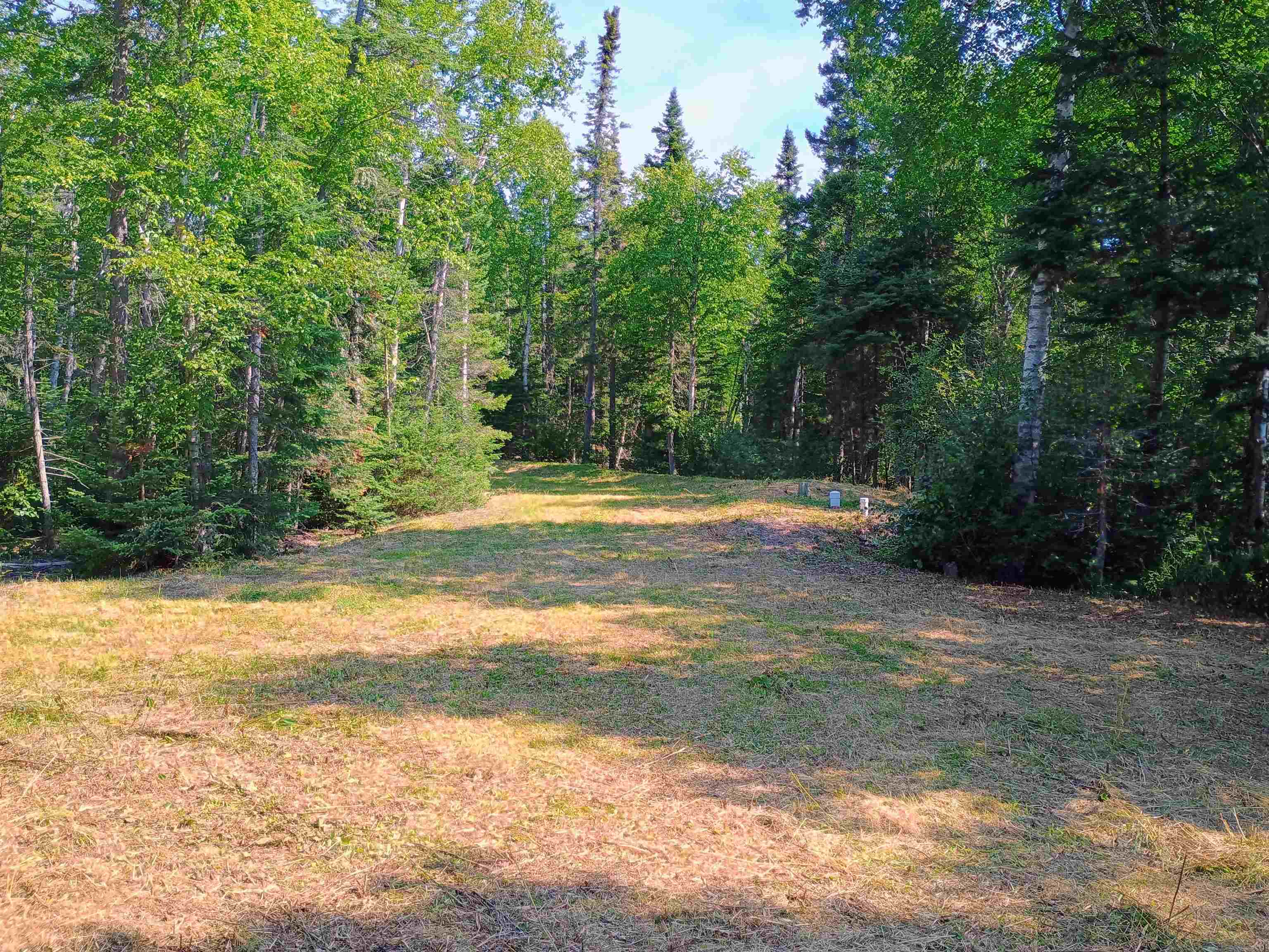 188 Stonegate Road Hovland, MN 55606 - Photo 19 of 33 Cleared potential building site