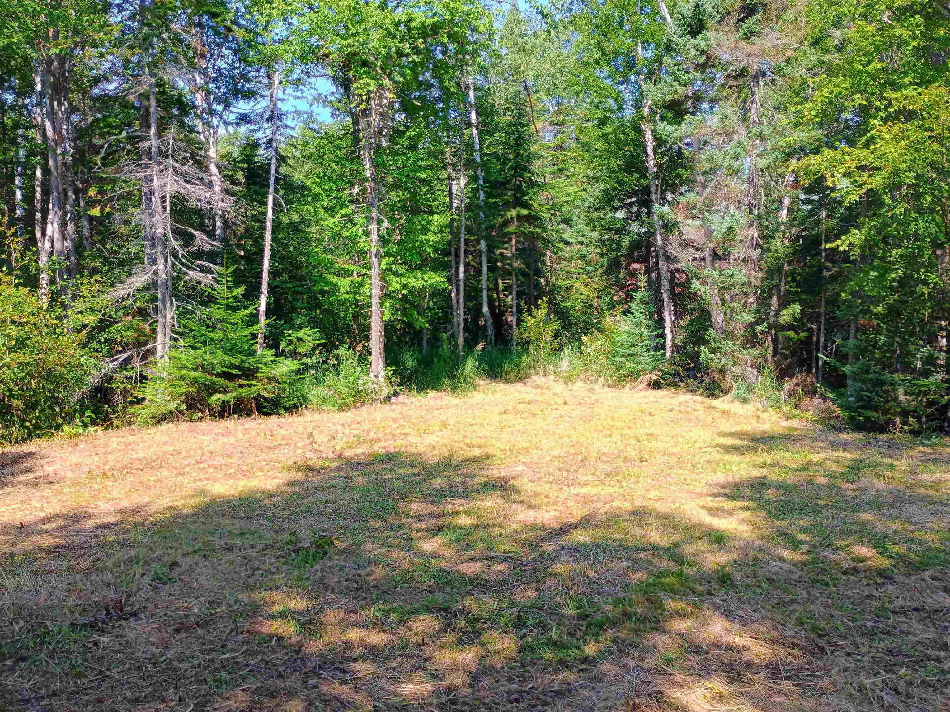 188 Stonegate Road Hovland, MN 55606 - Photo 20 of 33 Yard