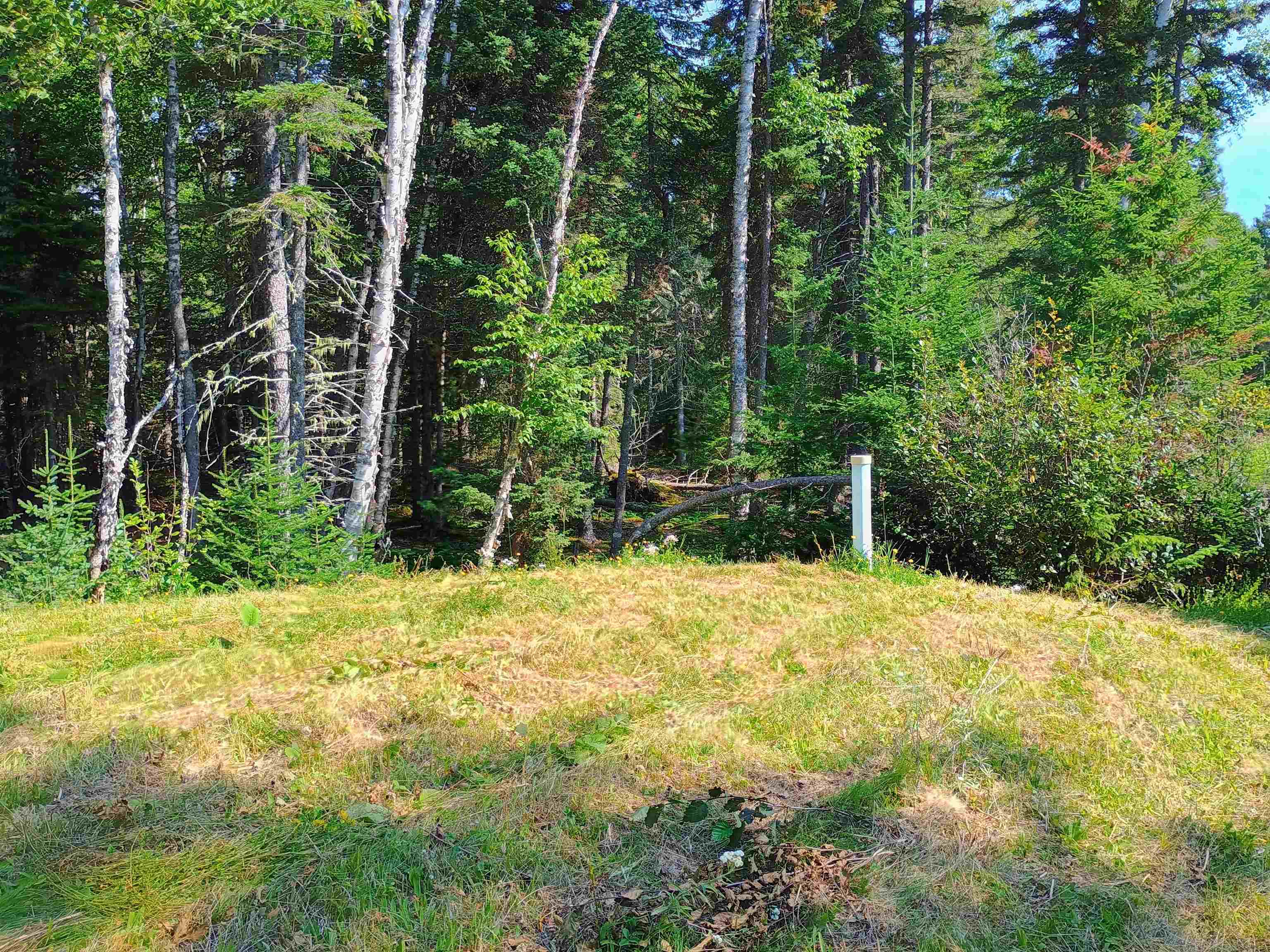 188 Stonegate Road Hovland, MN 55606 - Photo 24 of 33 Yard