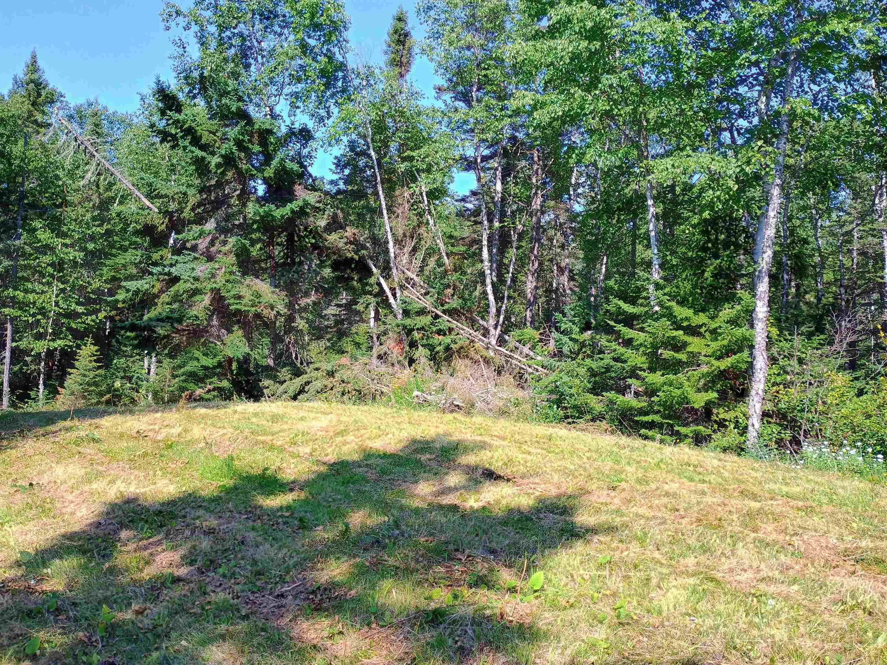 188 Stonegate Road Hovland, MN 55606 - Photo 25 of 33 Yard