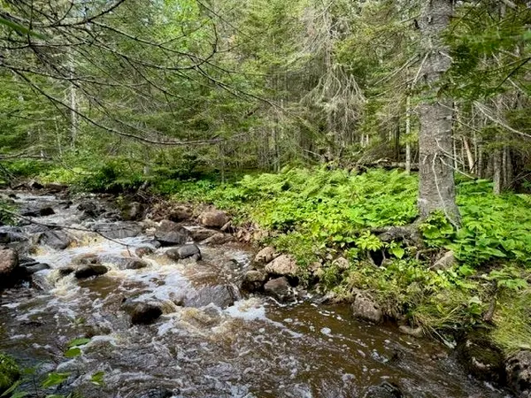 $435,000 | 188 Stonegate Road, Hovland, MN 55606