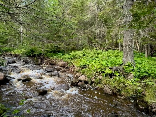 $435,000 | 188 Stonegate Road, Hovland, MN 55606