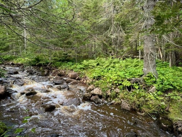 188 Stonegate Road Hovland, MN 55606 - Photo 26 of 33 View of creek at the back part of the property