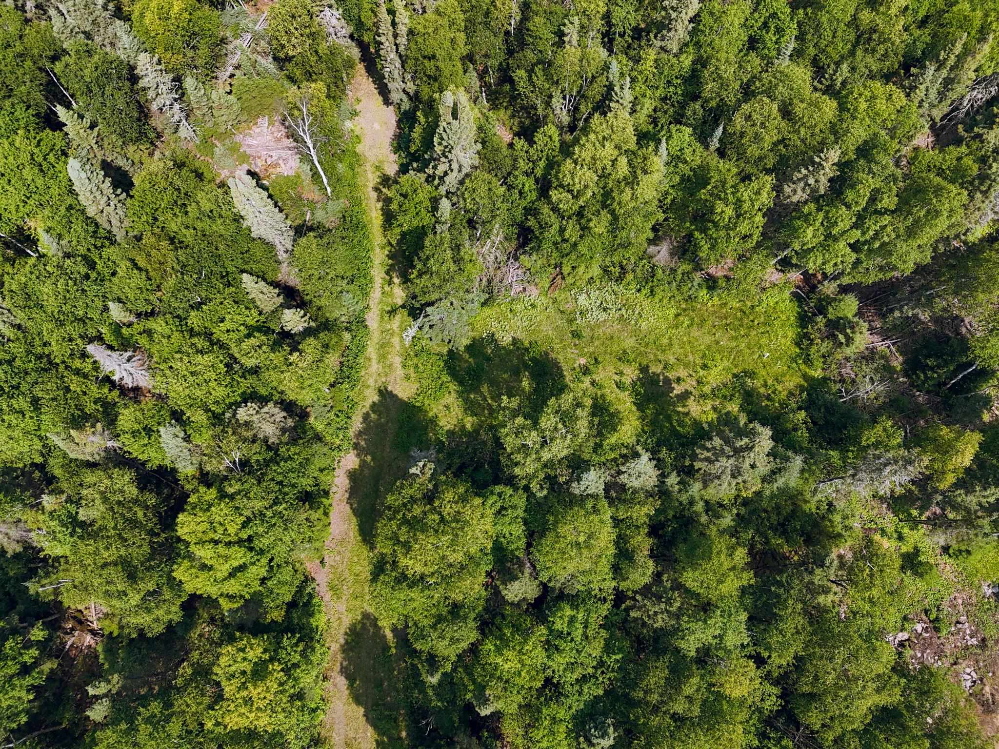 188 Stonegate Road Hovland, MN 55606 - Photo 5 of 33 Aerial view of property and surrounding area with forest