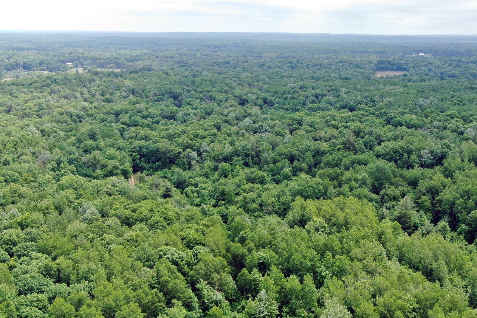 0 110th Ave Road Rodney, MI 49342 - Photo 3 of 14 3 Aerial View
