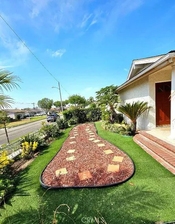 a view of a backyard with plants and palm trees