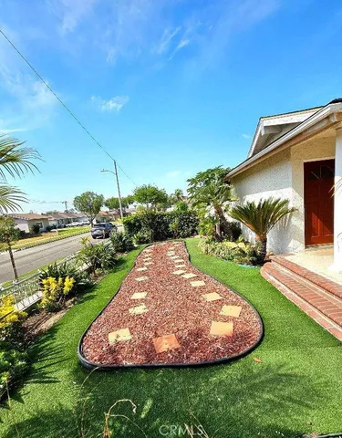 a view of a backyard with plants and palm trees