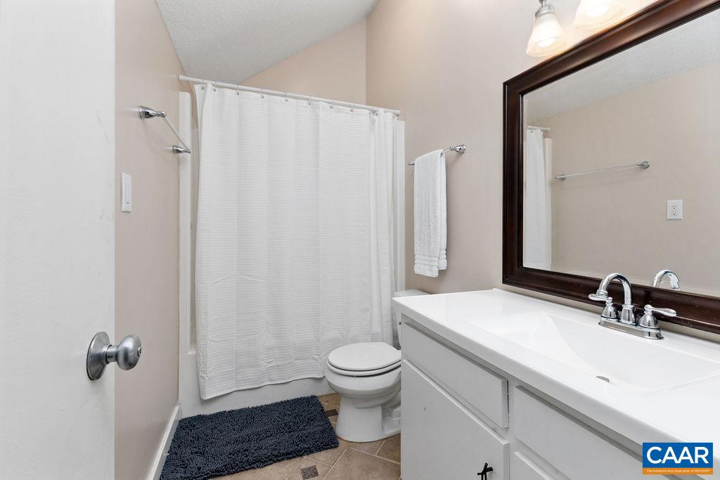 433 3 Ridges Roseland, VA 22967 - Photo 21 of 22 a bathroom with a sink a toilet and shower