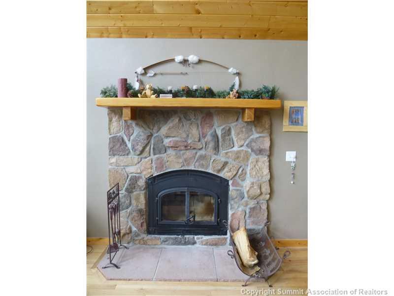 115 Vine Road Fairplay, CO 80440 - Photo 12 of 22 Gallery Image 12