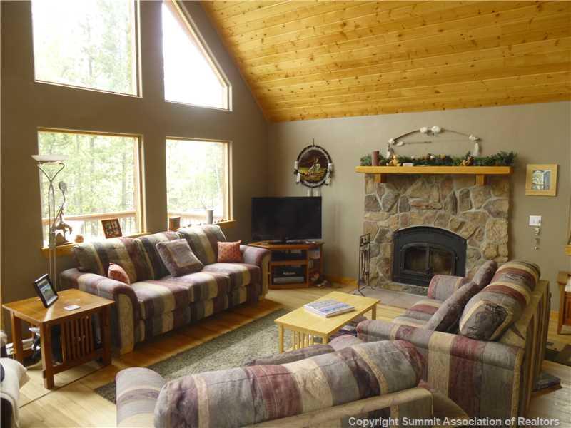 115 Vine Road Fairplay, CO 80440 - Photo 2 of 22 Gallery Image 2