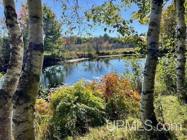 25307 Dover Road Calumet, MI 49913 - Photo 8 of 47