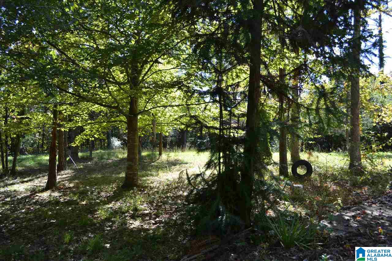 17871 Highway 75, Unit 5 7 ACRES Remlap, AL 35133 - Photo 3 of 23
