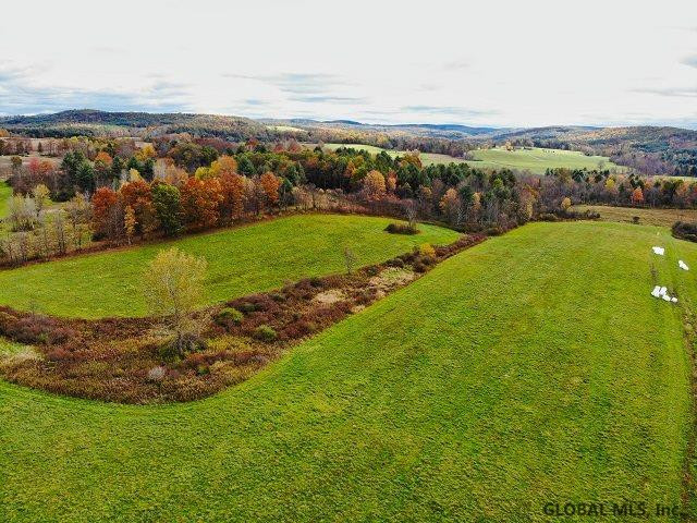 71 Hunt Road Pittstown, NY 12028 - Photo 1 of 8 Photo 1