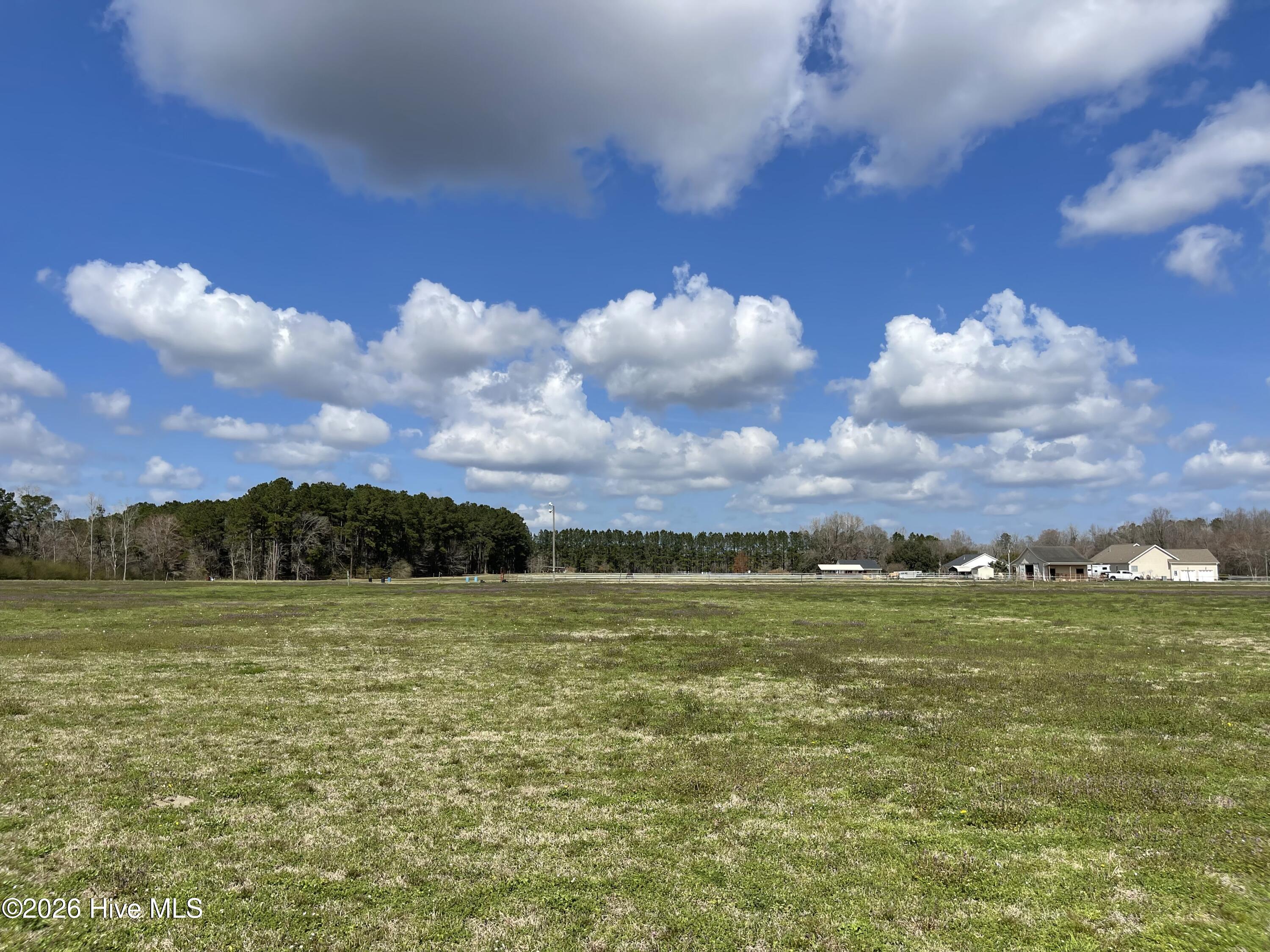 Lot A Malpass Corner Road Burgaw, NC 28425 - Photo 12 of 23 Photo Mar 06 2026, 12 05 19 PM