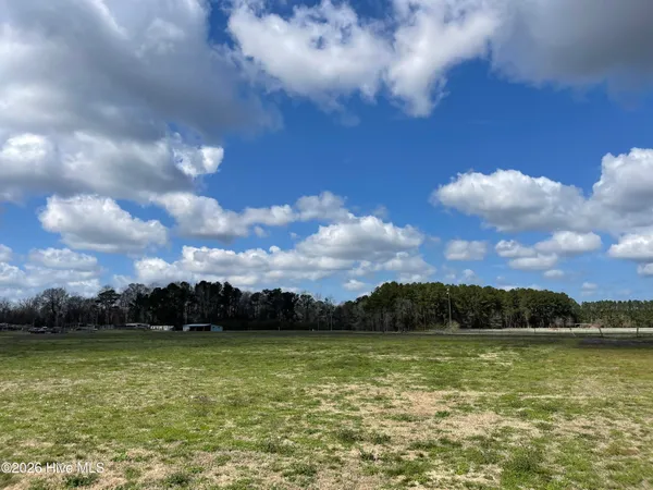 $140,000 | Lot A Malpass Corner Road, Burgaw, NC 28425