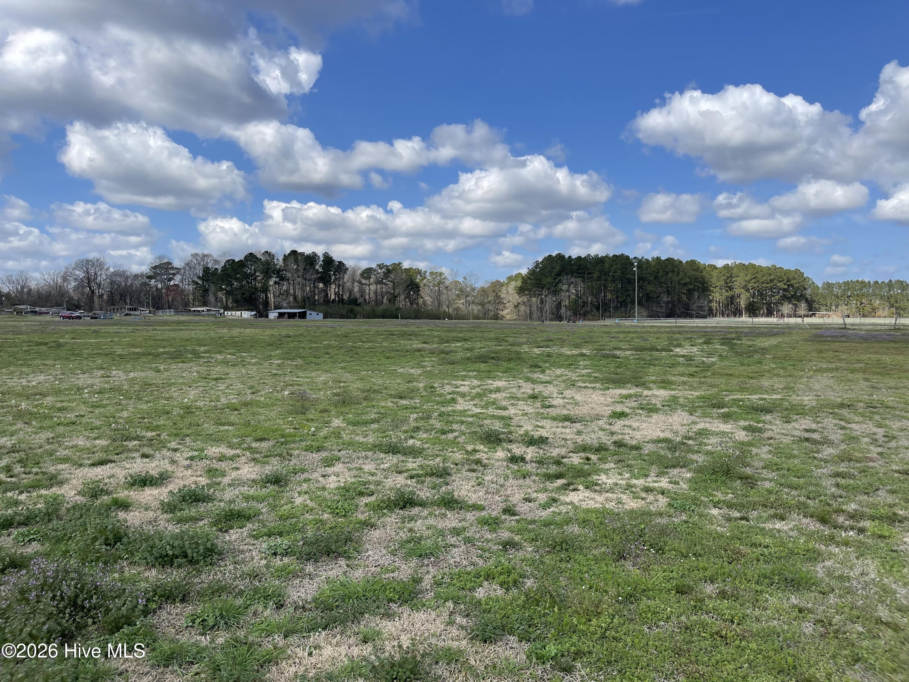 Lot A Malpass Corner Road Burgaw, NC 28425 - Photo 18 of 23 Photo Mar 06 2026, 12 07 05 PM
