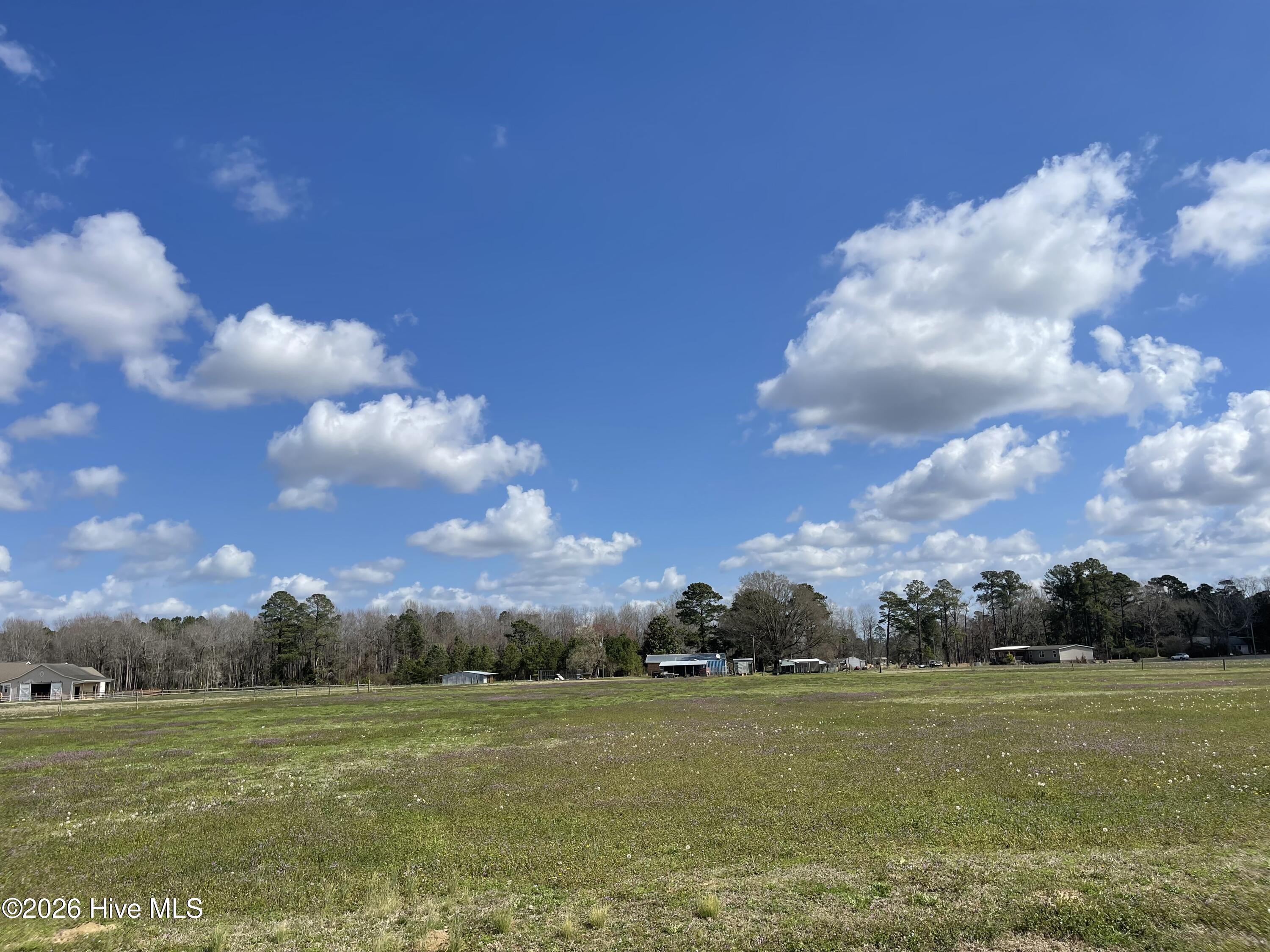 Lot A Malpass Corner Road Burgaw, NC 28425 - Photo 6 of 23 Photo Mar 06 2026, 12 01 14 PM