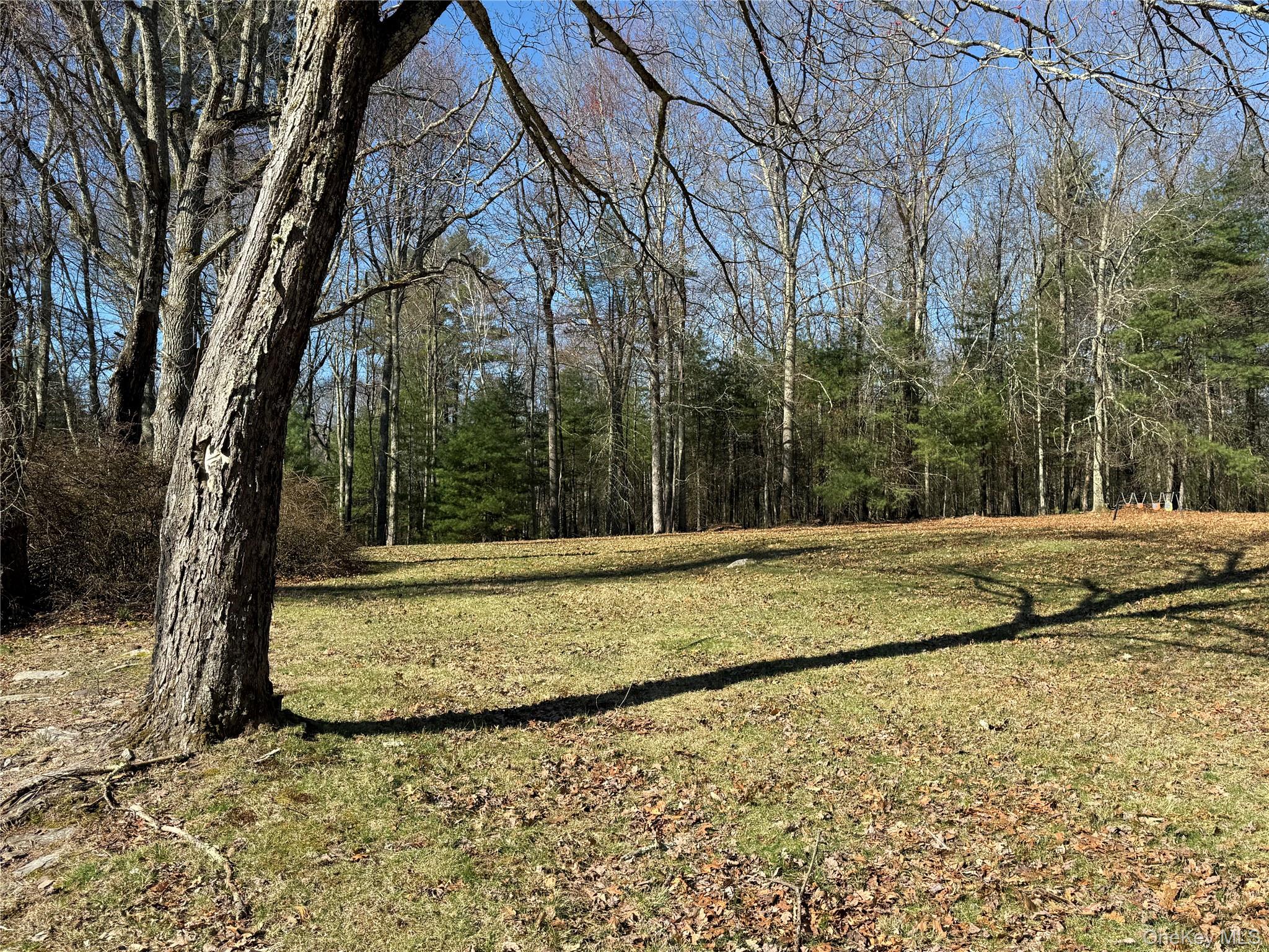 110 Eldred-Yulan Road Eldred, NY 12732 - Photo 6 of 23