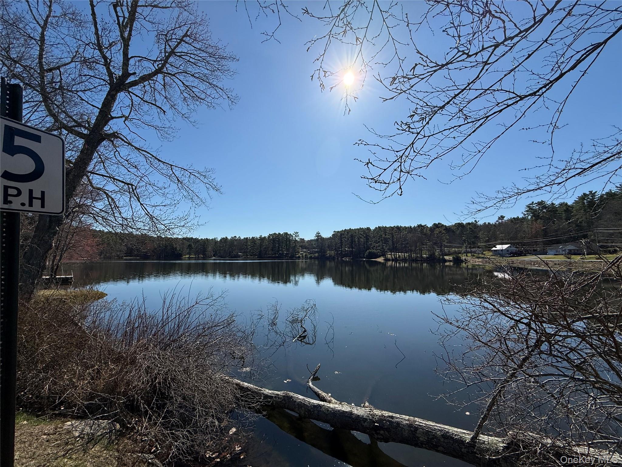 110 Eldred-Yulan Road Eldred, NY 12732 - Photo 8 of 23 Bodine Lake