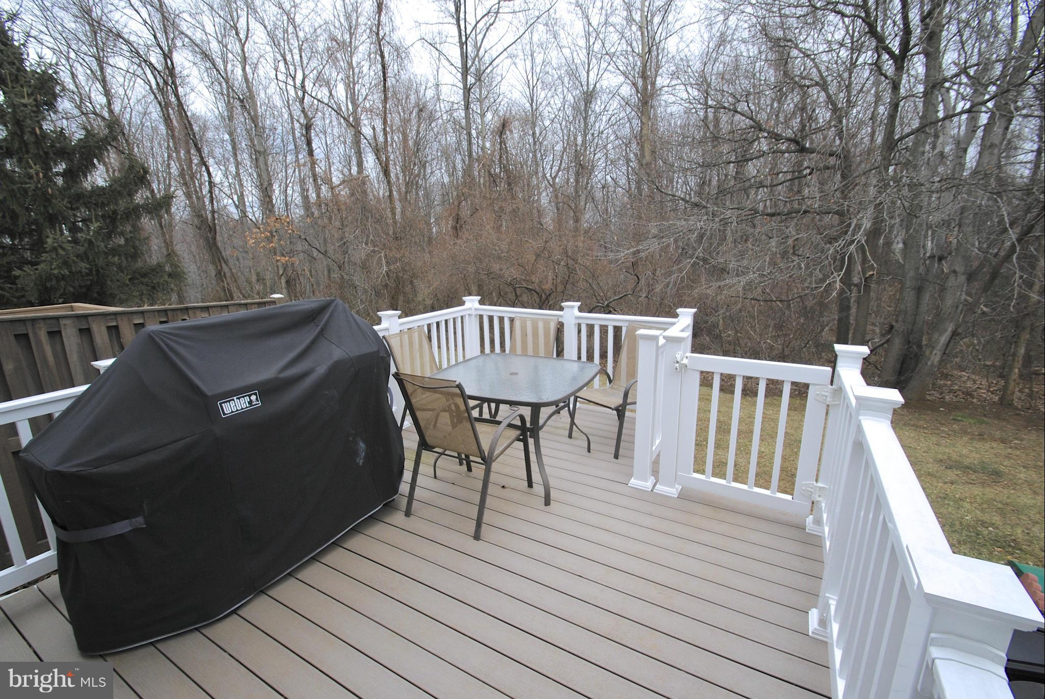 1212 Quaker Ridge Drive Arnold, MD 21012 - Photo 24 of 29 Exterior (Rear)