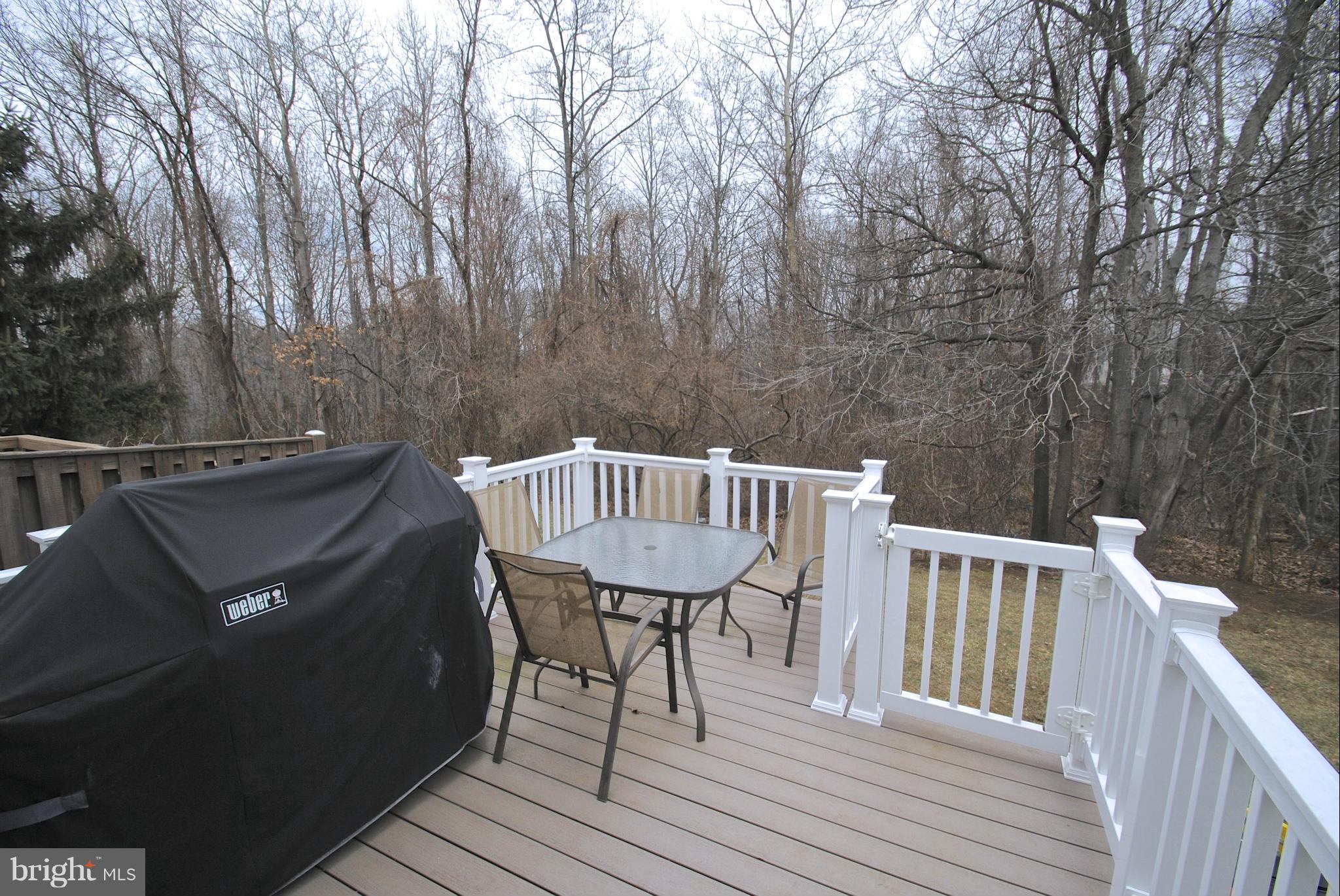 1212 Quaker Ridge Drive Arnold, MD 21012 - Photo 25 of 29 Exterior (Rear)