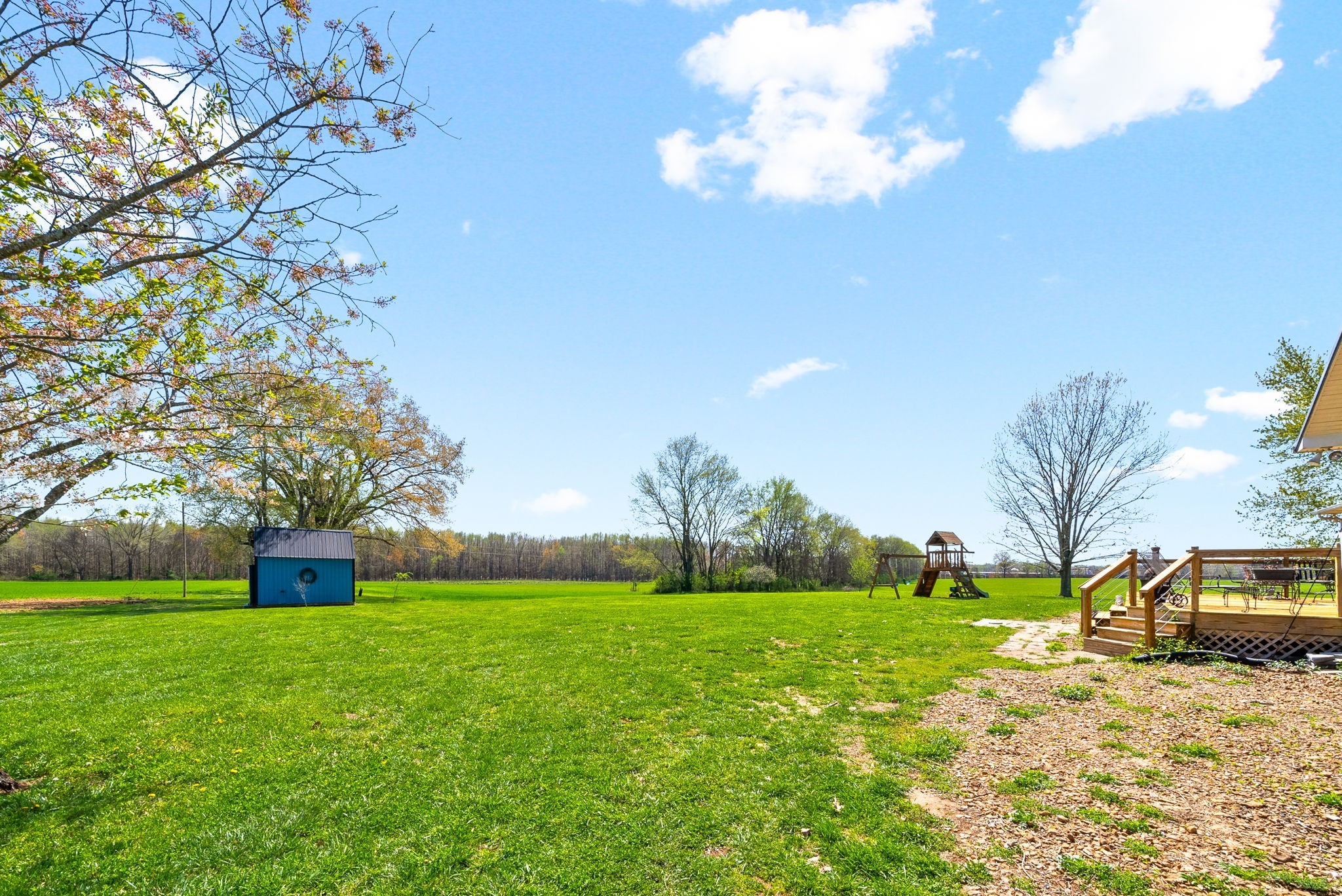 286 Tower Street Guthrie, KY 42234 - Photo 33 of 48 a street view with large trees
