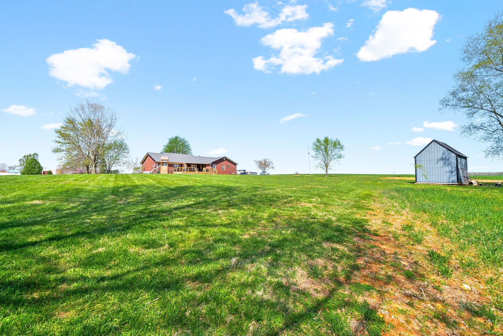 286 Tower Street Guthrie, KY 42234 - Photo 34 of 48 a view of an house with a big yard and potted plants