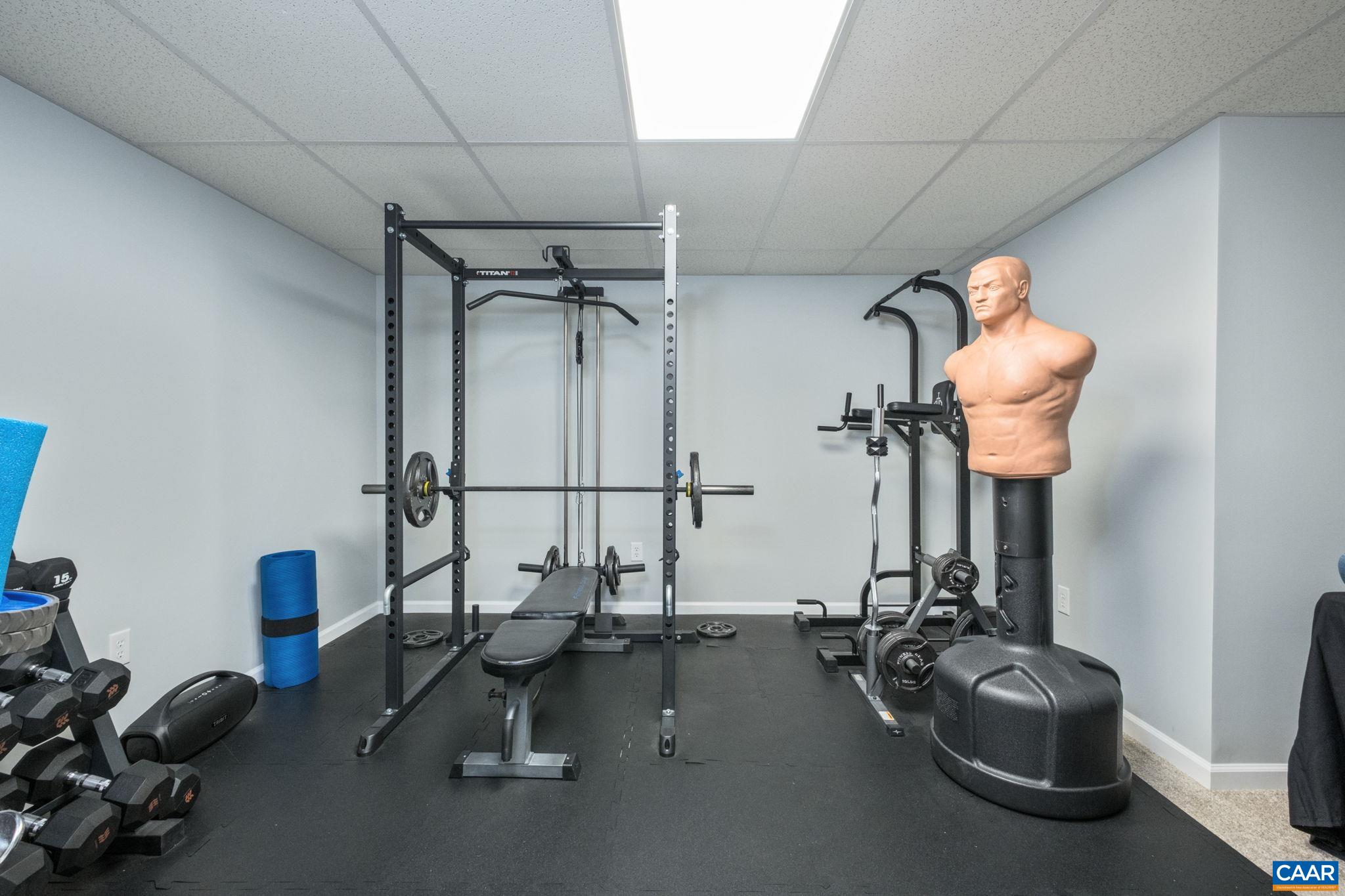 105 Squirrel Path Stanardsville, VA 22973 - Photo 53 of 67 a room with gym equipment and a mirror