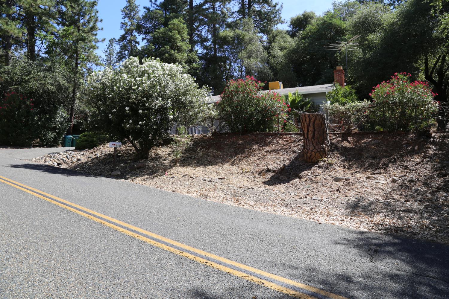 3405 Big Cut Road Placerville, CA 95667 - Photo 13 of 46