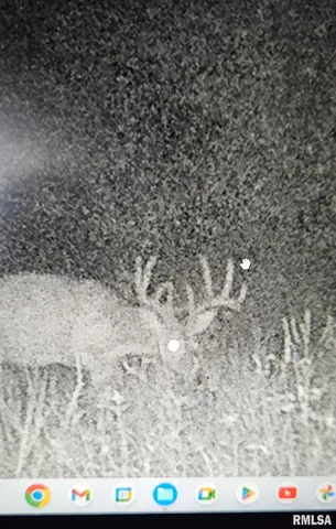 $395,000 | 0 State Route 147 Highway, Simpson, IL 62985