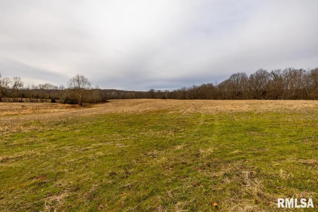 $395,000 | 0 State Route 147 Highway, Simpson, IL 62985